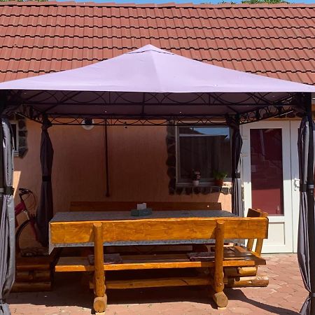 Casa Blendea Daniela Hotell Cîrţişoara Exteriör bild