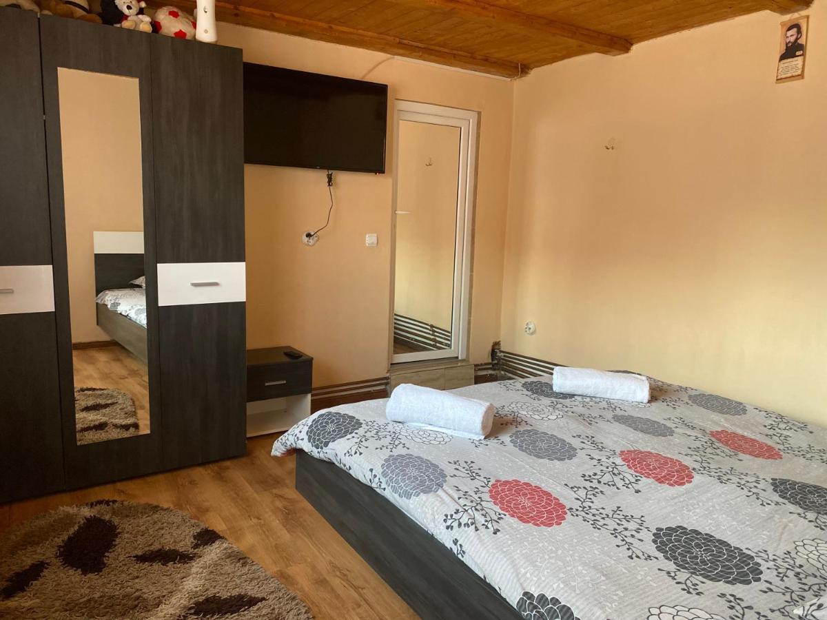 Casa Blendea Daniela Hotell Cîrţişoara Exteriör bild