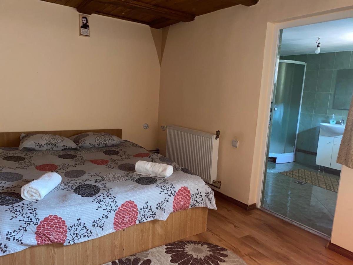 Casa Blendea Daniela Hotell Cîrţişoara Exteriör bild