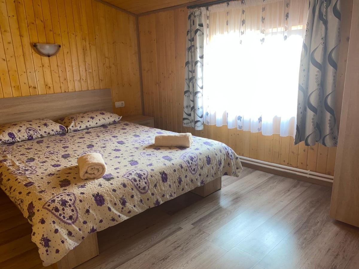 Casa Blendea Daniela Hotell Cîrţişoara Exteriör bild