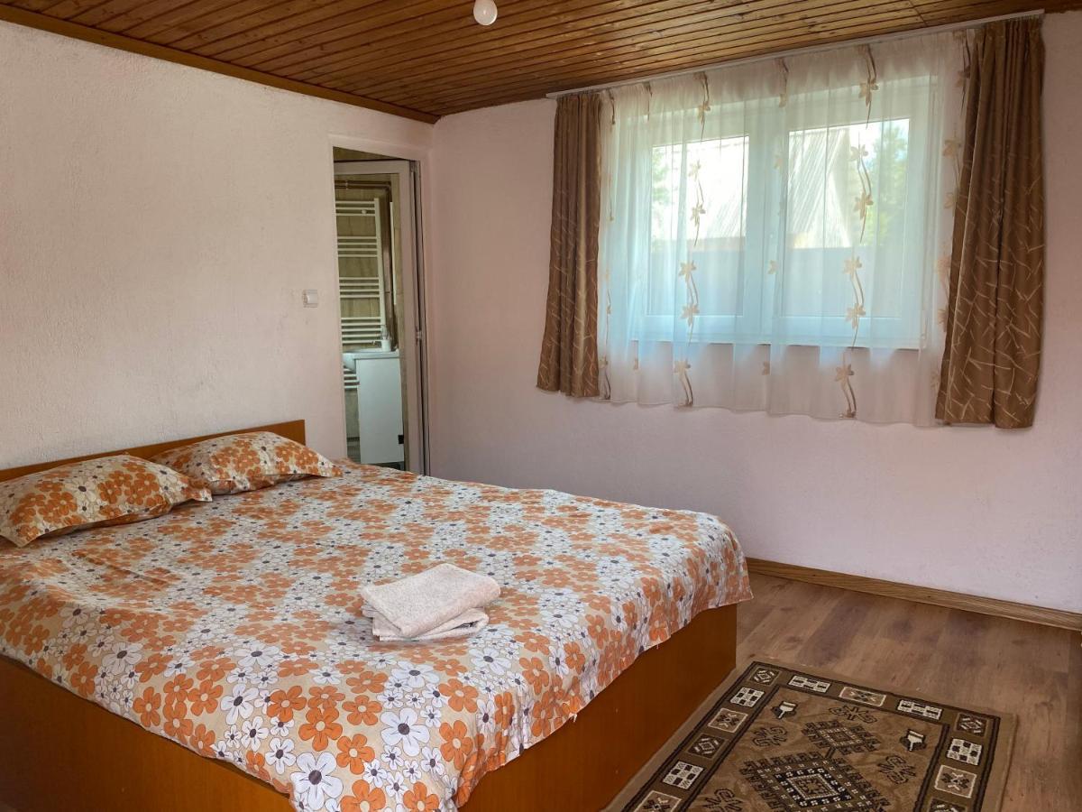 Casa Blendea Daniela Hotell Cîrţişoara Exteriör bild