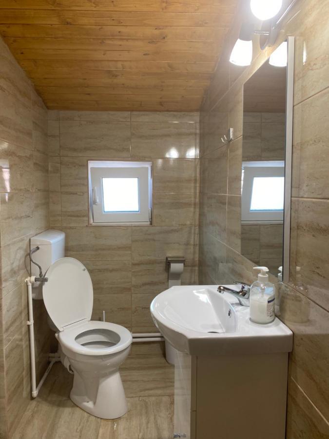 Casa Blendea Daniela Hotell Cîrţişoara Exteriör bild