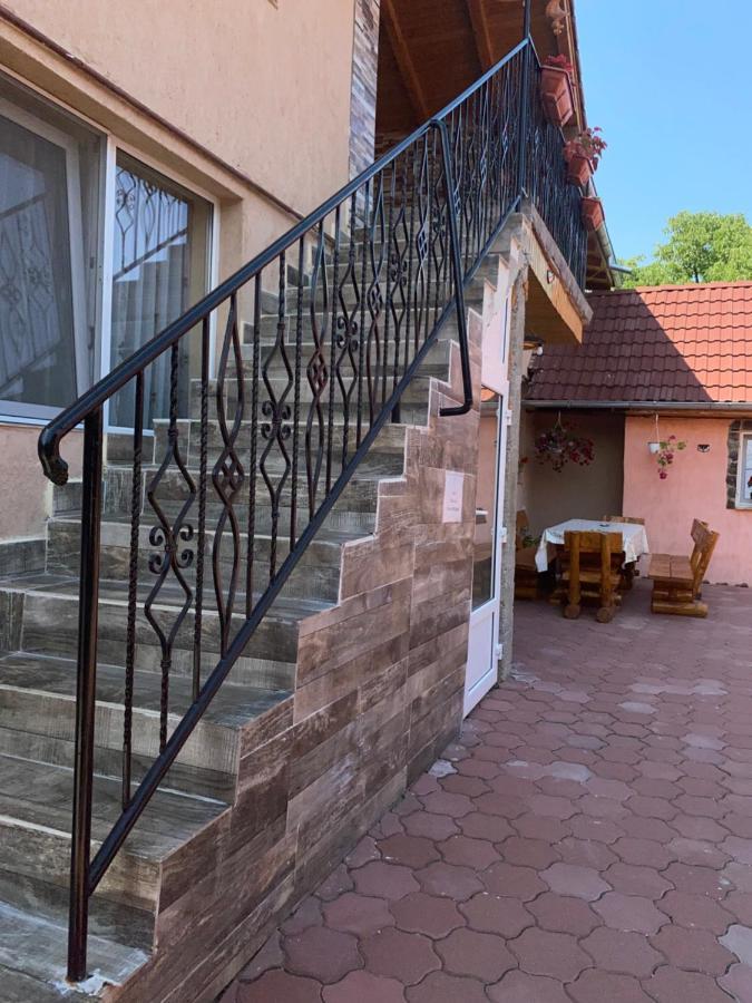 Casa Blendea Daniela Hotell Cîrţişoara Exteriör bild