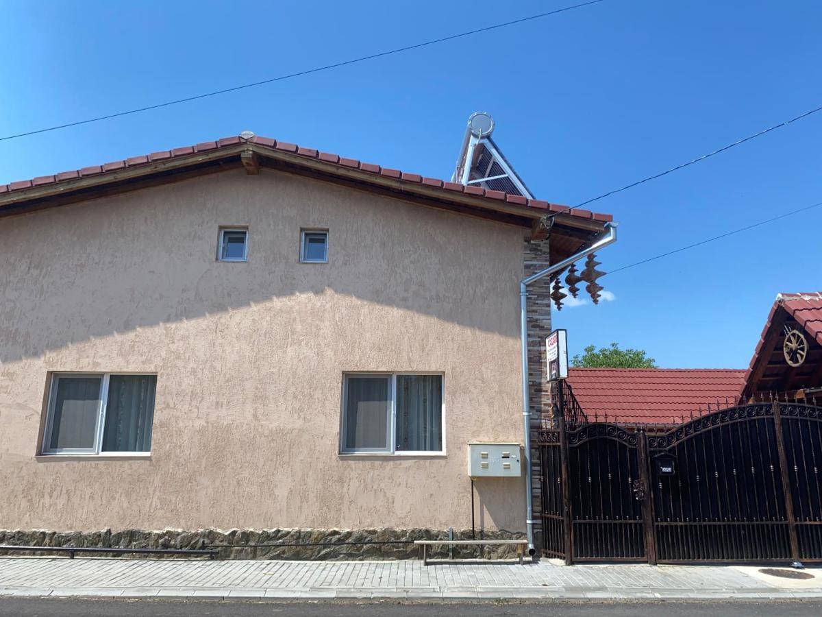 Casa Blendea Daniela Hotell Cîrţişoara Exteriör bild