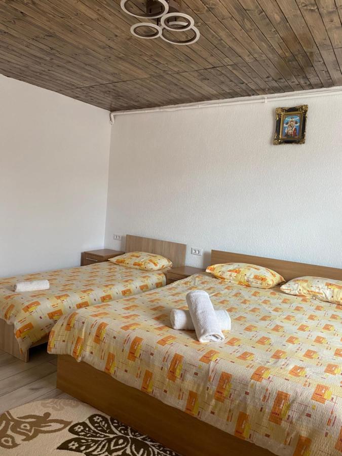 Casa Blendea Daniela Hotell Cîrţişoara Exteriör bild