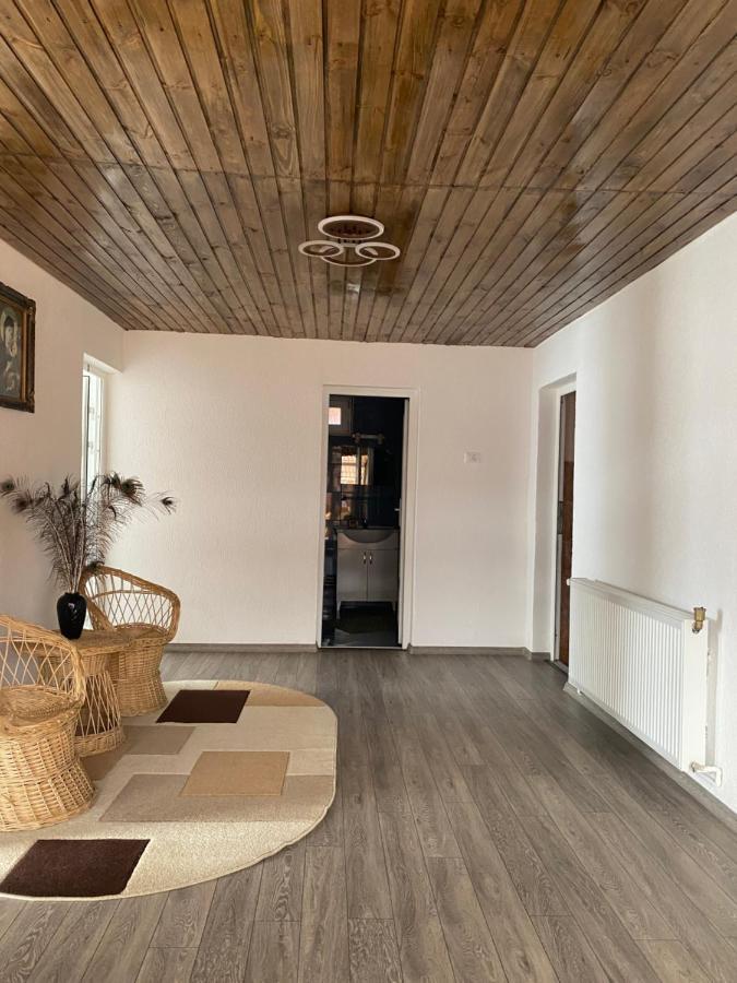 Casa Blendea Daniela Hotell Cîrţişoara Exteriör bild